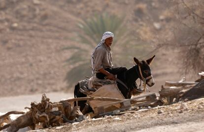 Qaseim Daraghmeh paseando con su burro en el valle de Jordan, en West Bank. 