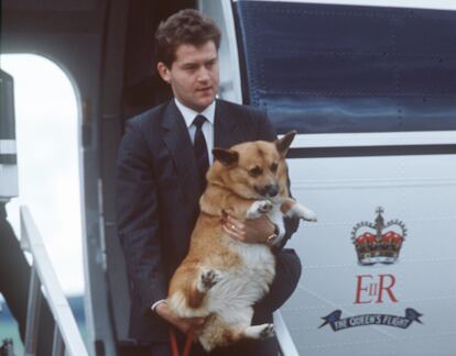 Paul Burrell lleva a uno de los corgis de la reina Isabel II, el 1 de septiembre de 1986 en Aberdeen, Escocia. 
