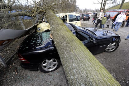 Coches aplastados por un árbol caído debido a la fuerza del viento, en Karlsruhe, (Alemania).