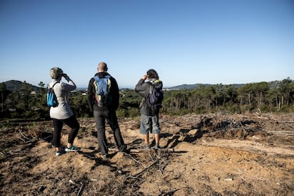 Un grup d'actvistes, ubicats en un punt elevat des de la matinada, intenta detectar l'actuació de tala del dia per paralitzar-la amb altres companys repartits per la zona.