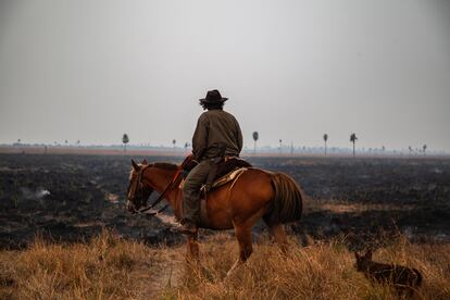 Un hombre a caballo inspecciona el área mientras los bomberos y los voluntarios intentan contener las llamas que destruyen los bosques y la vida silvestre en Corrientes, Argentina, el 19 de febrero de 2022. 