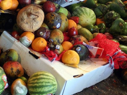 Alimentos derrochados en el suelo.