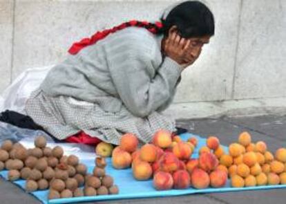 Una mujer vende frutas sobre una manta en una calle en México. EFE/Archivo