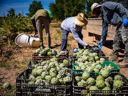 Agricultores en una explotación de la provincia de Barcelona, en mayo.