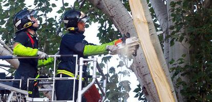 Los bomberos cortan una rama en el Retiro el 23 de agosto.