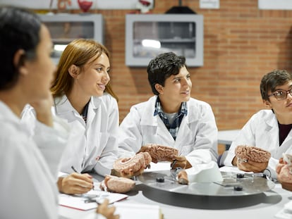 Un grupo de alumnos durante una clase de anatomía, en una universidad de Bogotá.