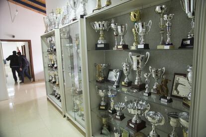 Vitrina con trofeos en la ciudad deportiva.