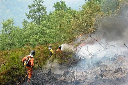 Bomberos de Cangas del Narcea, personal de guardería y una empresa forestal luchan contra el incendio cerca de la Reserva Biológica de Muniellos.