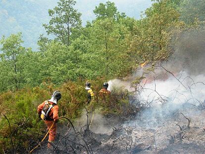 Bomberos de Cangas del Narcea, personal de guardería y una empresa forestal luchan contra el incendio cerca de la Reserva Biológica de Muniellos.