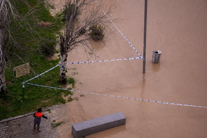 Efectos de la crecida del río Guadalquivir en la zona de Sotos de la Albolafia, en Córdoba, el domingo. 