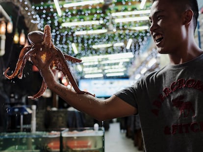 Um vendedor de pescado segura um polvo vivo nas mãos para oferecer às pessoas passam por sua loja na praia de Dapeng Jiaochangwei.