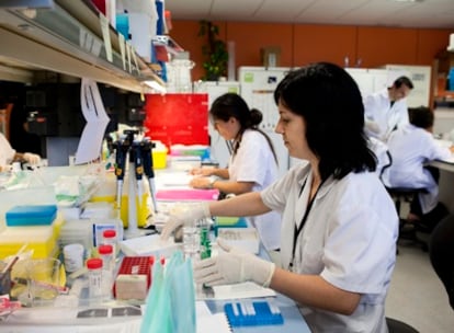 Jóvenes investigadores en el Instituto de Medicina Predictiva, en Can Ruti, Badalona.