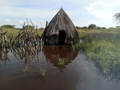 Una de las cabañas inundadas que Nyaguir Gatgok encontró durante su viaje a tierras más altas en Sudán del Sur.