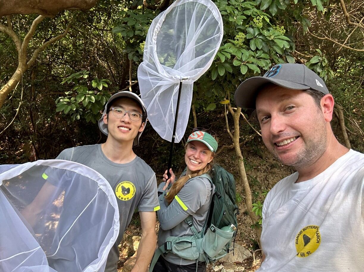 Una pegatina en un ala desvela una sorprendente migración de 3.000 kilómetros de una mariposa de Japón