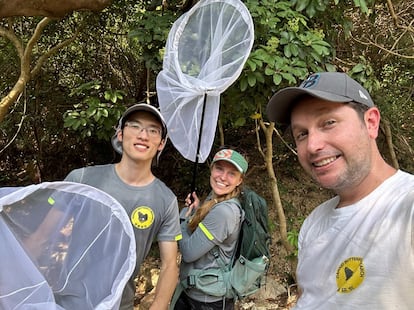 De izquierda a derecha, los investigadores Yuet Fung Ling, Emily Jones y Timothy Bonebrake, del grupo de investigacin de mariposas Danaid en Hong Kong.