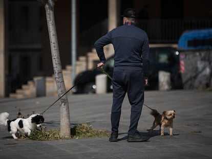 Un hombre pasea dos perros en el Paseo Marítimo de Barcelona durante el estado de alarma.