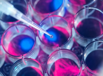 Pipetas en un laboratorio