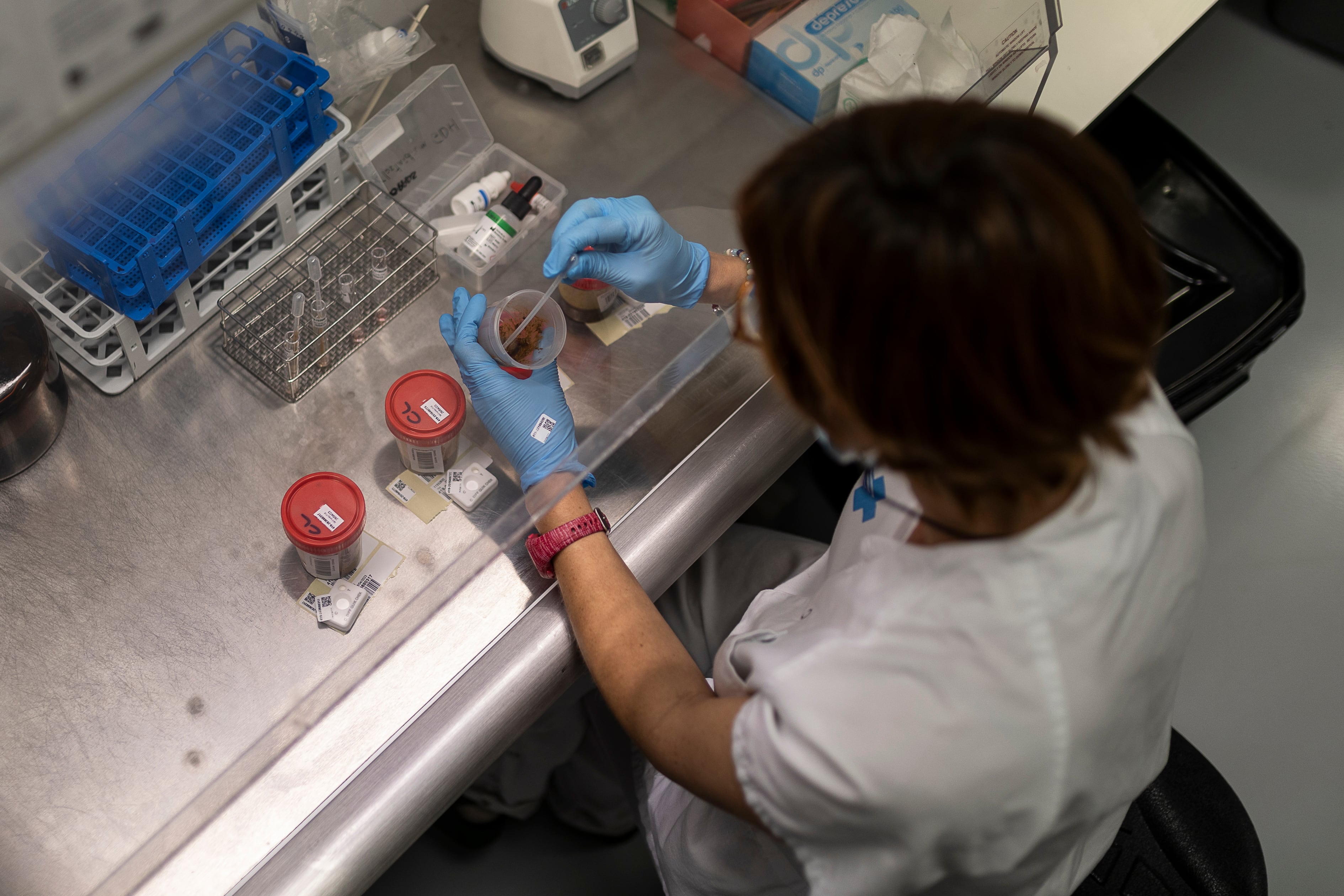 El laboratorio del servicio de microbiologia del Hospital de Bellvitge.