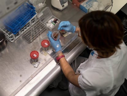 Una sanitaria analiza muestras de heces para detectar la bacteria 'Clostridioides difficile' en un laboratorio del Hospital de Bellvitge de Barcelona.