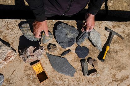 José Antonio Montero enseña fósiles del geoparque de Villuercas-Ibores-Jara junto a la cajita que contiene arena de playa de hace 300 millones de años.