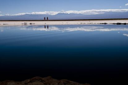 La laguna Cejar, en San Pedro de Atacama.