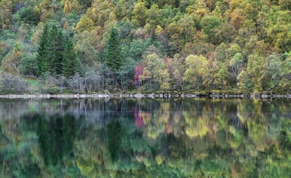 Reflejos en el lago de Lygnstoyl, en Noruega.