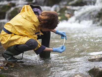 El estudio que determina que las mujeres científicas subestiman su trabajo