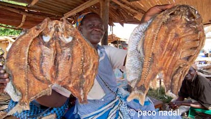 Noticia: hago fotos en un mercado y no me echan a pedradas