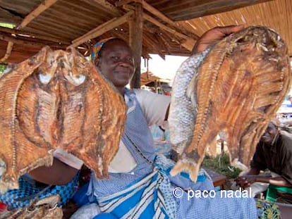 Noticia: hago fotos en un mercado y no me echan a pedradas