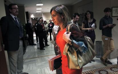 Chacón, el año pasado, en el Congreso.