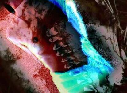 Imagen del vídeo en la instalación 'Redux A V(east)' (2007), de Iury Lech.