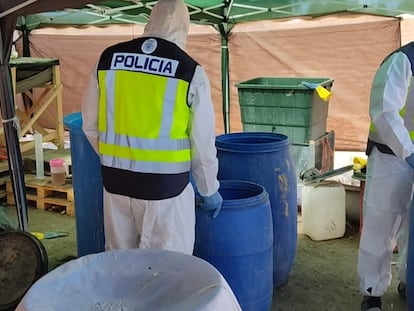 Narcofinca desmantelada por la Policía Nacional en el municipio madrileño de Navalagamella, a principios de septiembre.