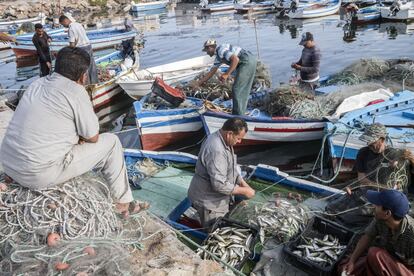 Pescadores en el puerto de Ajim (Túnez). La idea pasa por impulsar distintos negocios alrededor de la pesca, como el procesado de las capturas para ofrecer un valor añadido y generar más empleo.