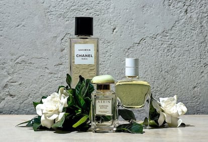 <p>Es originaria de China, donde está considerada un símbolo de la feminidad. De izquierda a derecha:</p> <p> <b>Gardénia</b>, de Les Exclusifs de Chanel, 133 euros. La firma ha resucitado la fórmula de 1925 en la que el perfumista Ernest Beaux rindió tributo a la flor preferida de Coco Chanel.</p> <p> <b>Gardenia Rattan</b>, de Aerin, 96 euros. Agua de mar, nardos y un toque de ámbar para resaltar la sensualidad.</p> <p> <b>Jour d’Hermès Gardénia</b>, de Hermès, 125 euros. Incorpora matices de madera y almizclados que refuerzan la vertiente cremosa.</p>