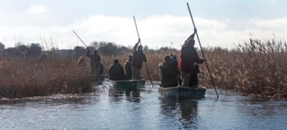 Un grupo de barcas navega por el humedal de las Tablas de Daimiel (Ciudad Real), en una foto de archivo.