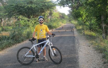 En la ruta no es raro encontrarse con manadas de monos.