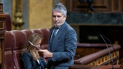 Fernando Grande-Marlaska, este miércoles en el Congreso.