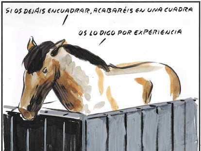 El Roto