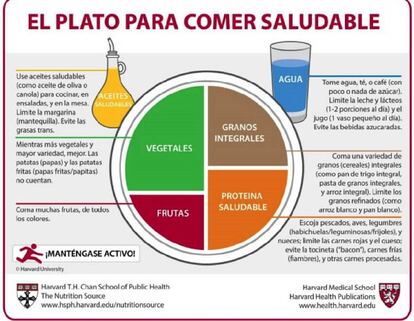 Comer saludable (Harvard).