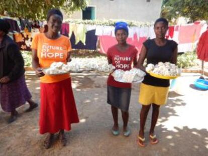 Trabajadoras de la cooperativa de cultivo de champiñones creada en Zimbawue por Chido Govera.