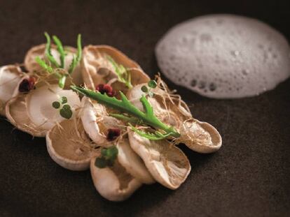 Raphanika, ariá y leche de castaña ahumada, plato del brasileño Felipe Schaedler.