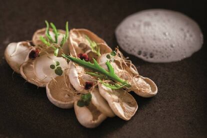 Raphanika, ariá y leche de castaña ahumada, plato del brasileño Felipe Schaedler.