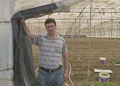 El empresario agrícola Francisco García, en sus invernaderos de Almería.