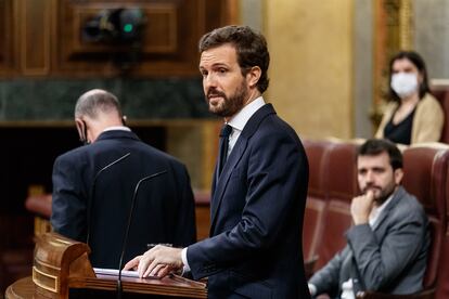 El líder del PP, Pablo Casado, este miércoles en el Congreso de los Diputados.