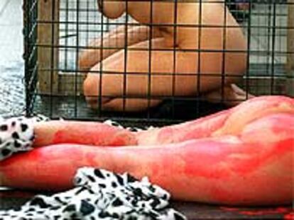 Desnudos en favor de los animales