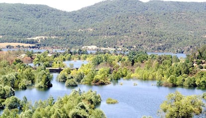 La Ribera Salada és un riu de la comarca del Solsonès, afluent per l'esquerra del Segre. Té una longitud d'uns 40 quilòmetres i, durant el seu recorregut, és un instrument refrigerant per als veïns de diversos pobles. És el cas, per exemple, d’Ogern, el nucli més important del terme municipal de Bassella, a la comarca de l’Alt Urgell. El pas de la Ribera Salada pels afores del poble, a un centenar de metres, ha esdevingut una atracció lúdica per suportar les altes temperatures i, fins i tot, ha passat a ser batejat amb el nom de La Platja Fluvial d’Ogern. Es tracta de dues basses, una per a adults i una pensada per a la mainada, que compleixen les funcions de piscines naturals.