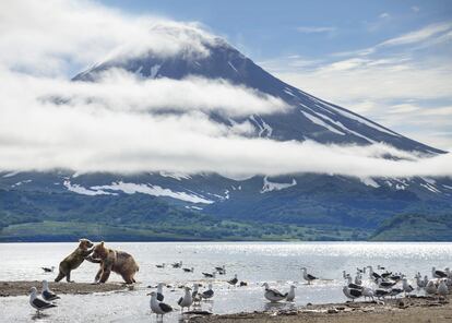 Un planeta perfecto, de BBC Earth, emitida en #0