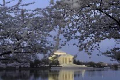 El monumento a Thomas Jefferson se ve entre los cerezos en flor en Washington D.C. (EE.UU.). EFE/Archivo