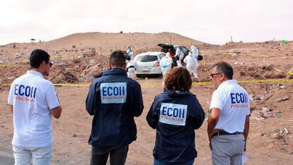 fiscales durante el hallazgo de tres cuerpos en Alto Hospicio, en Chile