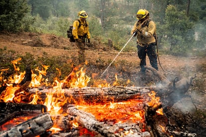La causa del fuego, que se inició el viernes y ha quemado una extensión aproximada de 5.800 hectáreas, se desconoce. En la imagen, dos bomberos trabajan en las labores de extinción del incendio.